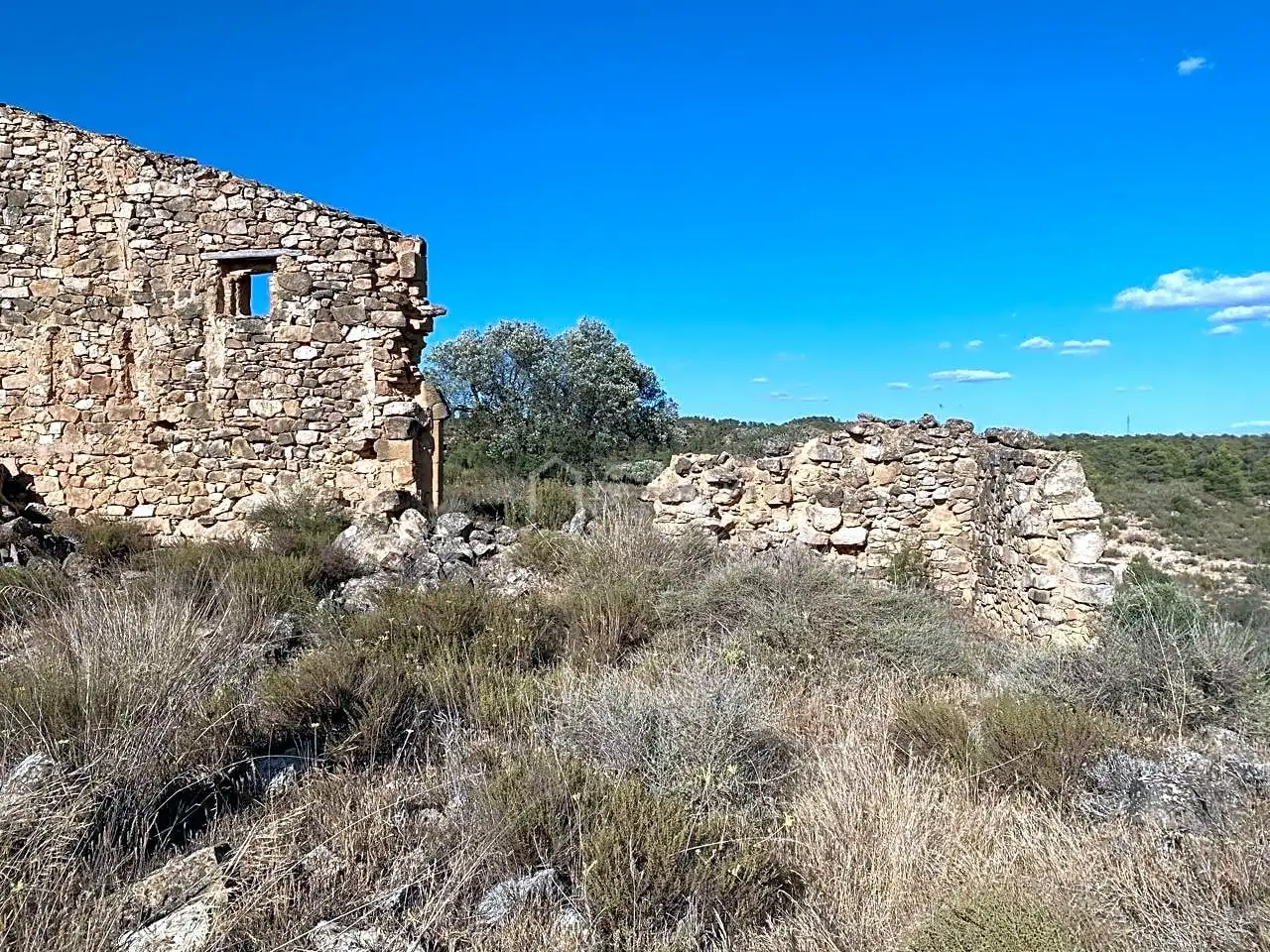 Terrain rustique à vendre à Partida Castellons, imagen 6