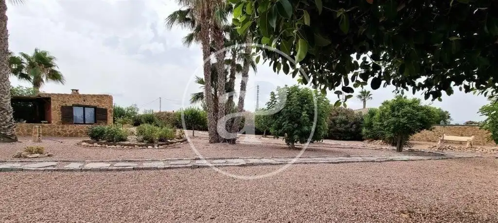 Vista exterior de Casa o chalet en venta en Catral con Aire acondicionado, Calefacción y Jardín privado