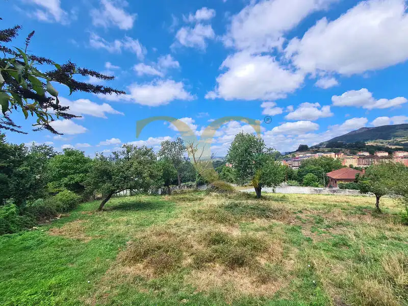 Terreny residencial en venda a El Monticu de Olivares, imagen 19