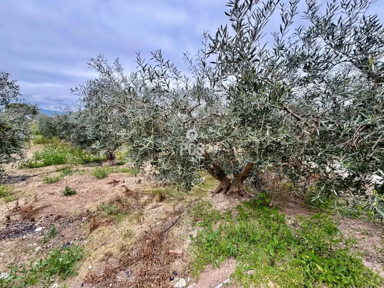 Villa mit Garten zum Verkauf in Calle Zona La Ñorica - Poligono de Totana S/N, imagen 12