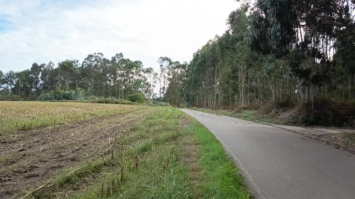 Terreno rústico en venta en Aldea Cabañas, imagen 32