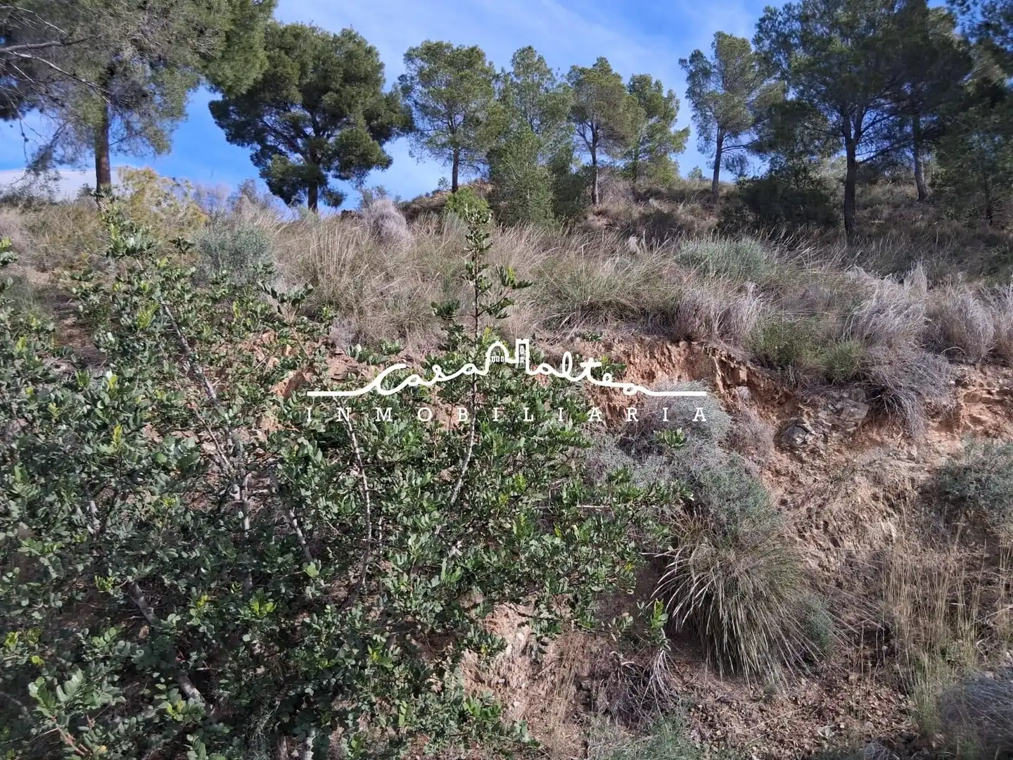 Houses for sale in Callosa d'en Sarrià