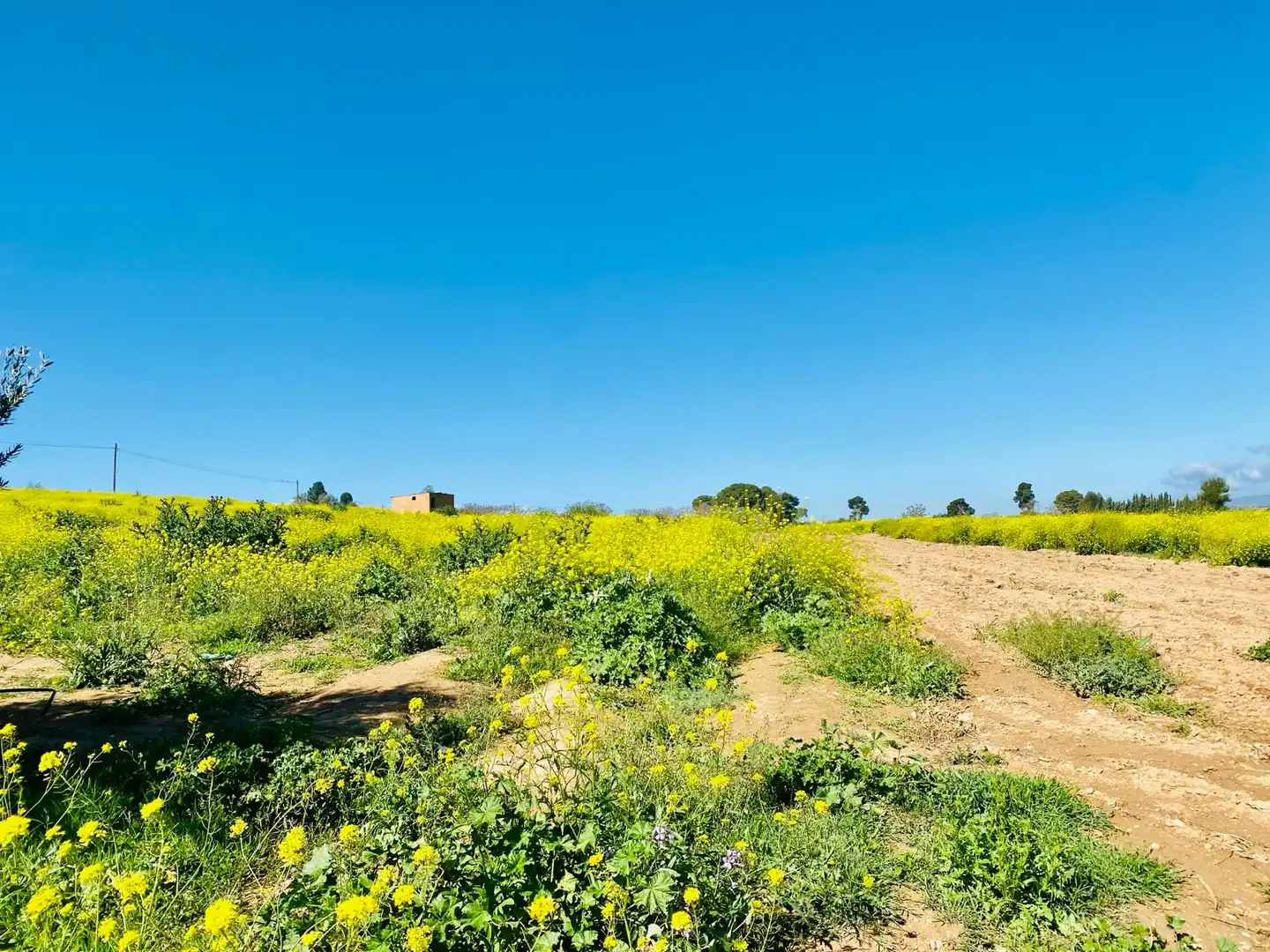Rustikales Grundstück zum Verkauf in Pinos Puente, imagen 7