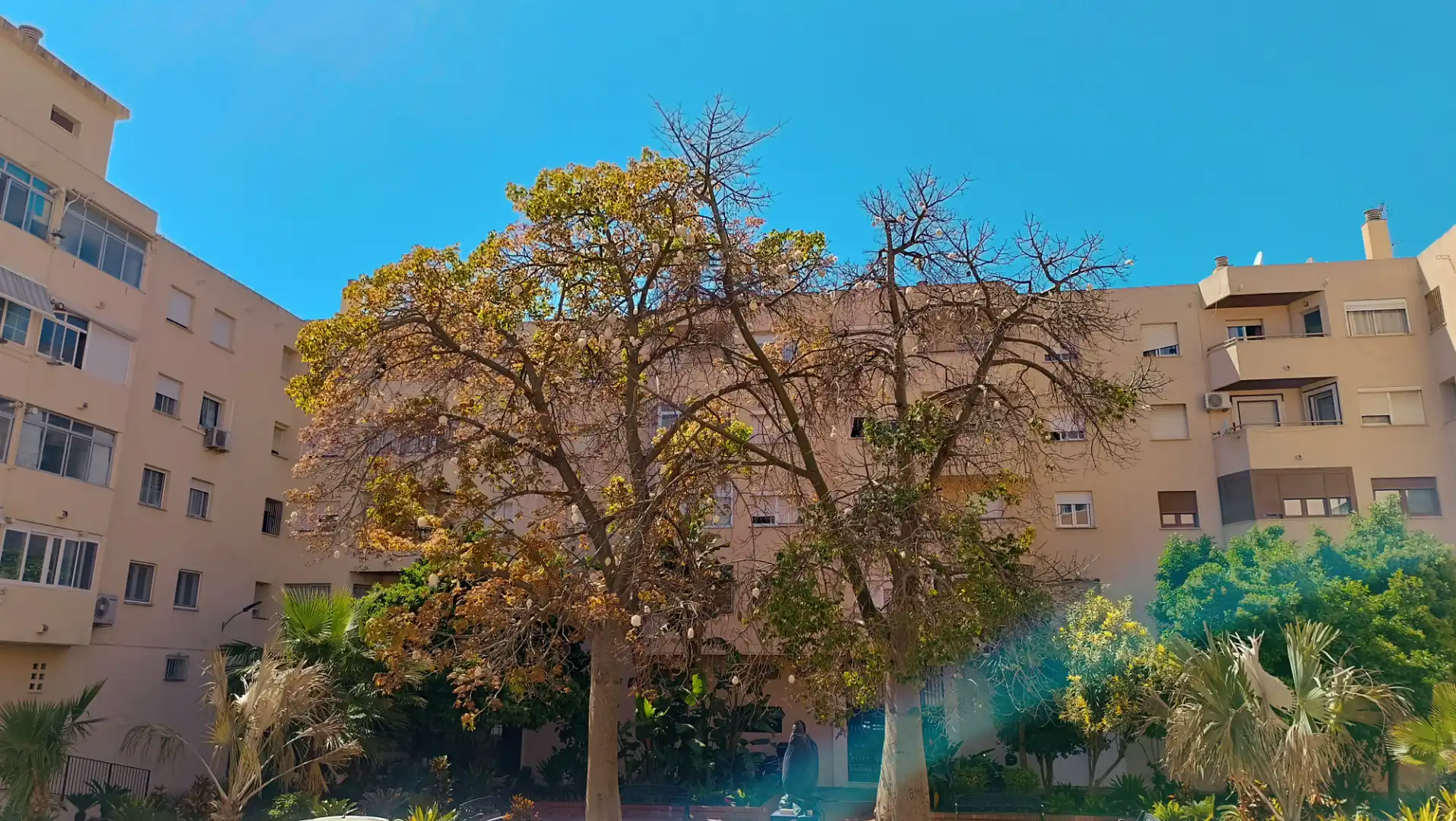 Exterior view of Flat for sale in Estepona  with Furnished