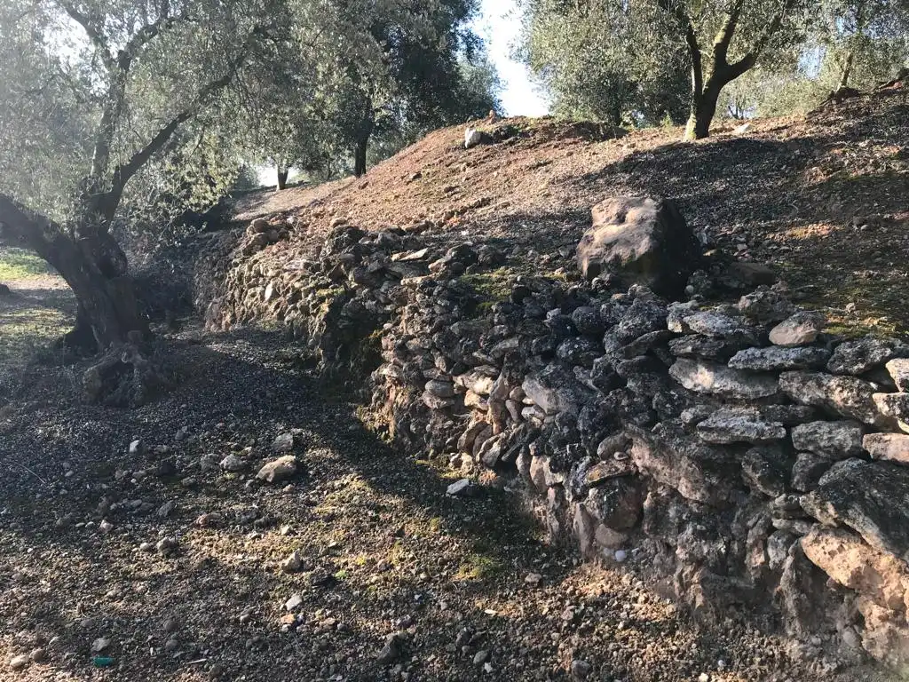 Terrain rustique à vendre à El Bruc, imagen 10