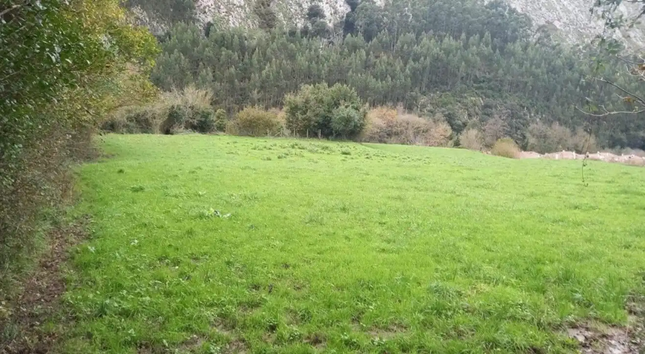 Lands and plots for sale in Otañes - Talledo, imagen 4