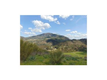 Casa in vendita a Algodonales