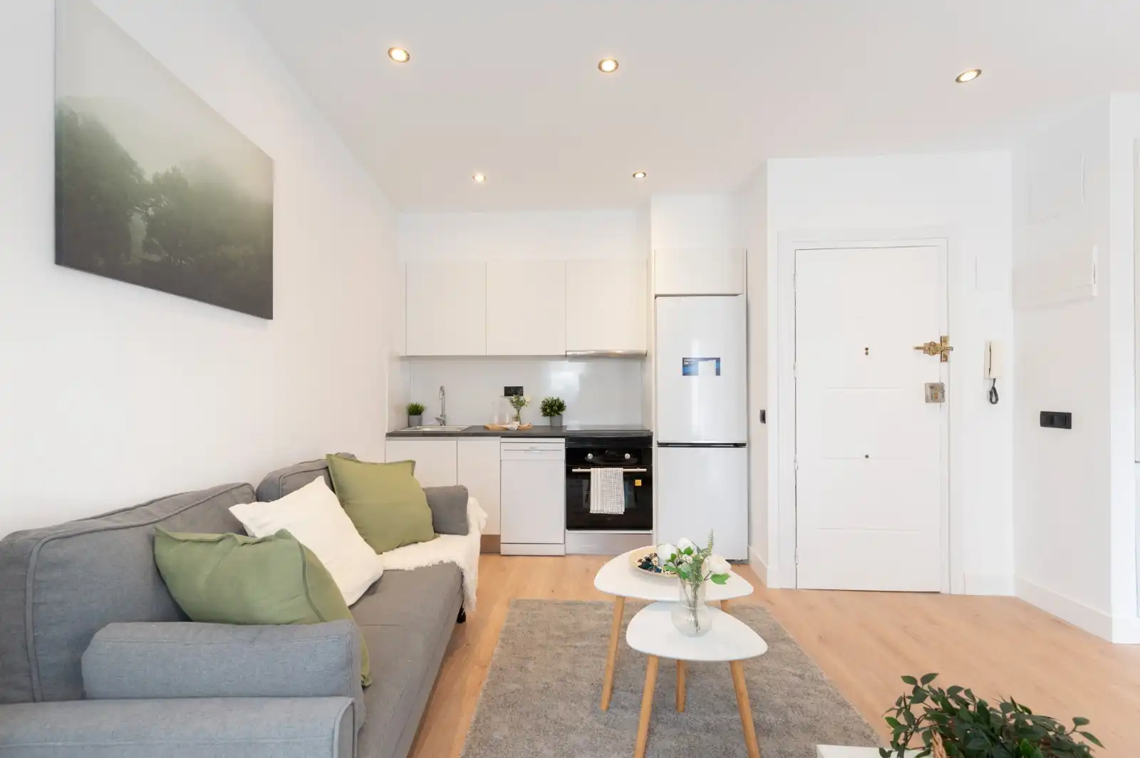 Wohnzimmer von Wohnung zur Miete in Madrid mit Klimaanlage, Heizung und Parkett