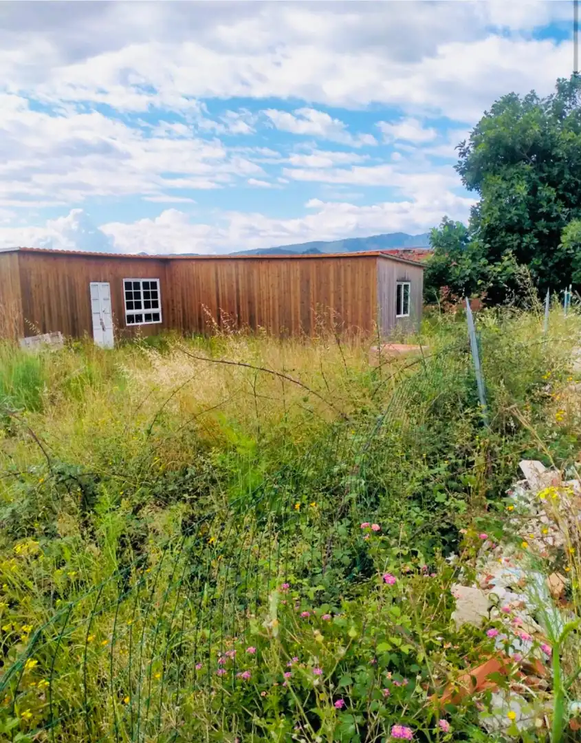 Vista exterior de Finca rústica en venda en Palma de Gandia