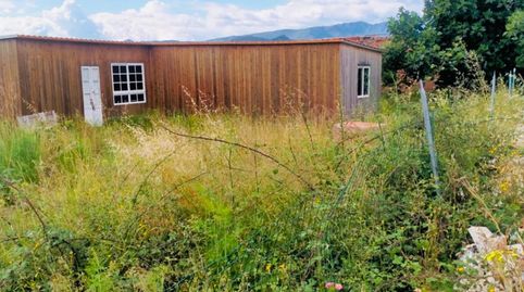 Foto 4 de Finca rústica en venta en Camino de Marchuquera, 167, Palma de Gandia, Valencia