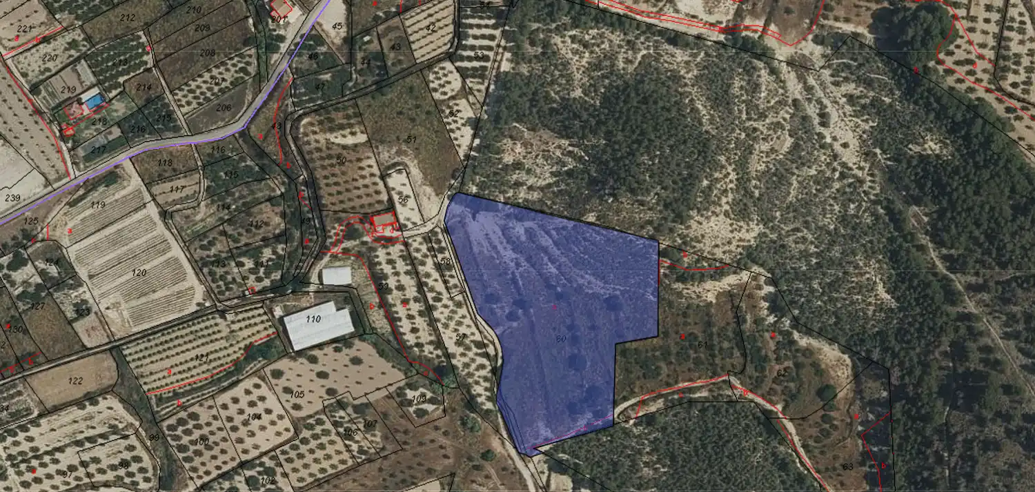 Lands and plots for sale in Pliego