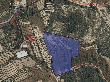 Terrenos y solares en venta en Pliego