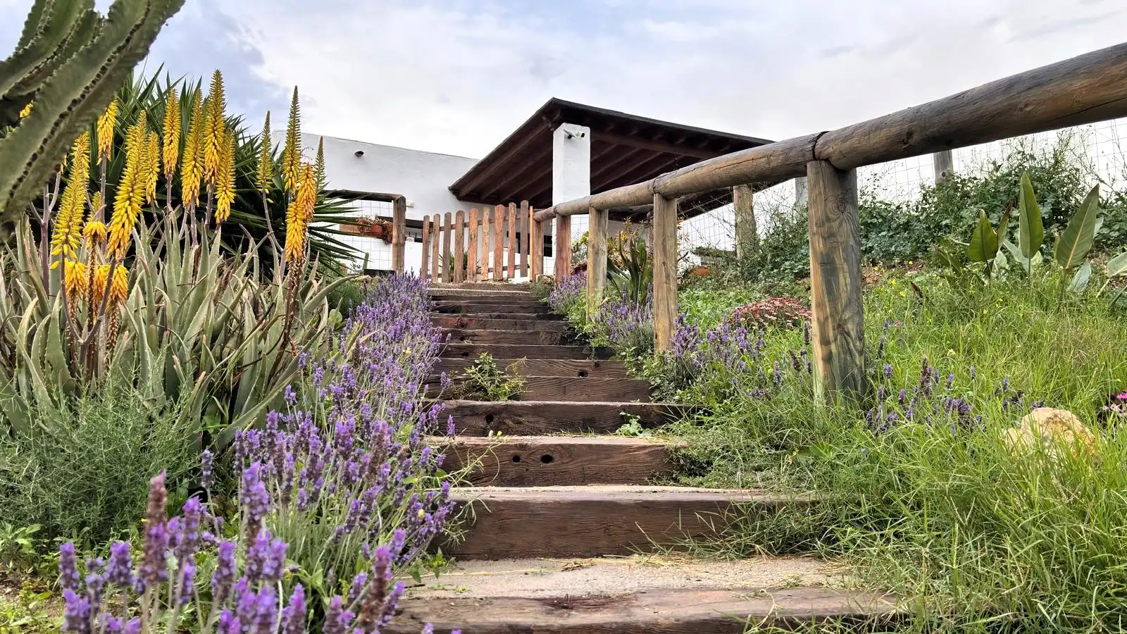 Jardí de Casa o xalet en venda en Pechina amb Aire condicionat, Jardí privat i Terrassa
