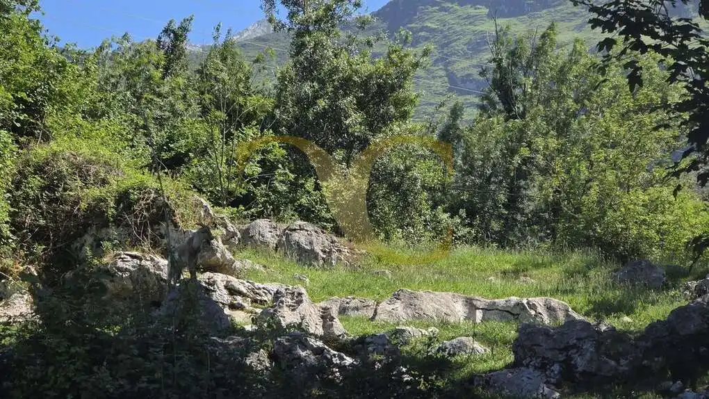 Terreny residencial en venda a Soberrón, imagen 10