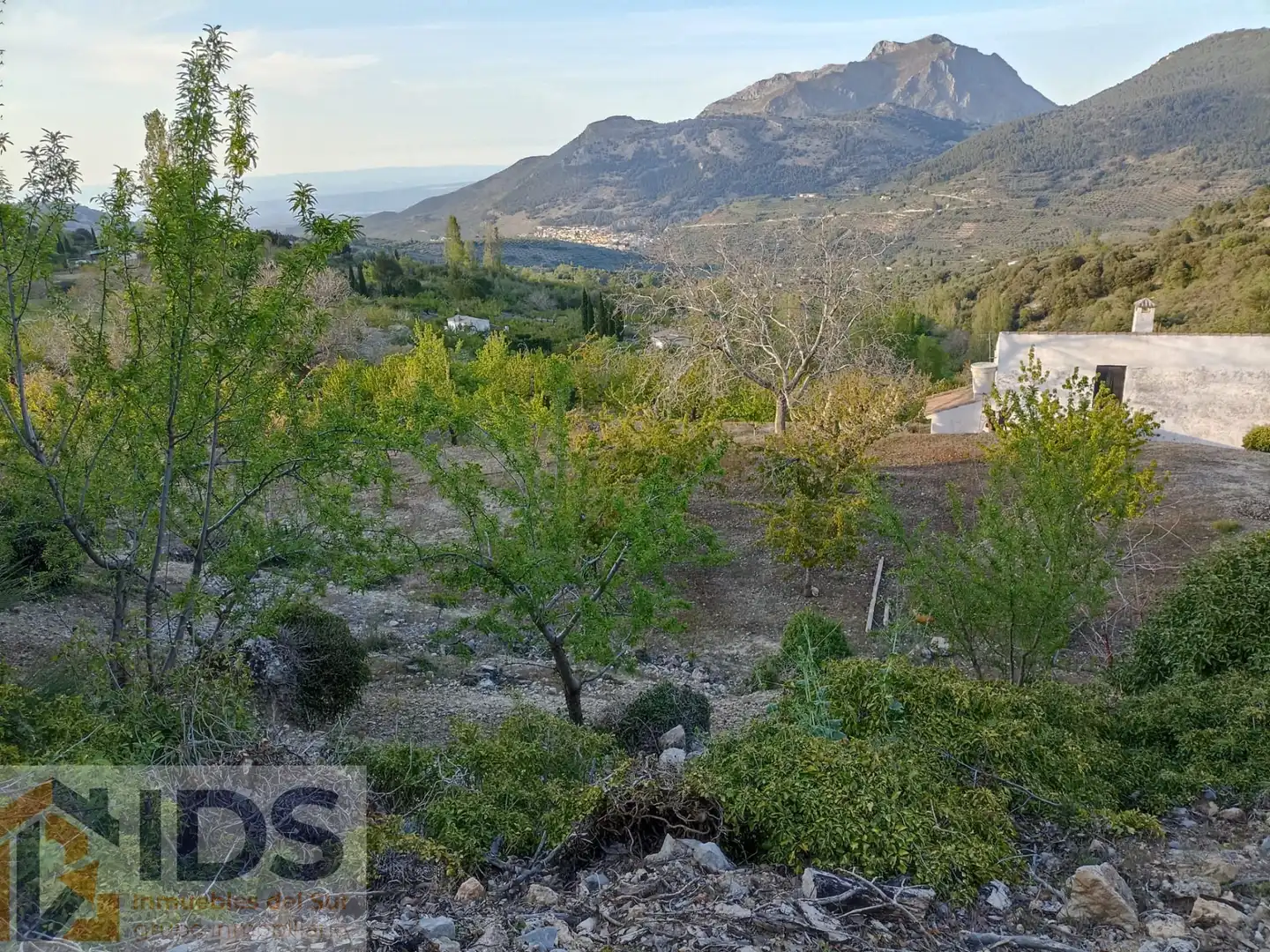 Vista exterior de Casa o chalet en venta en Albanchez de Mágina con Jardín privado y Piscina