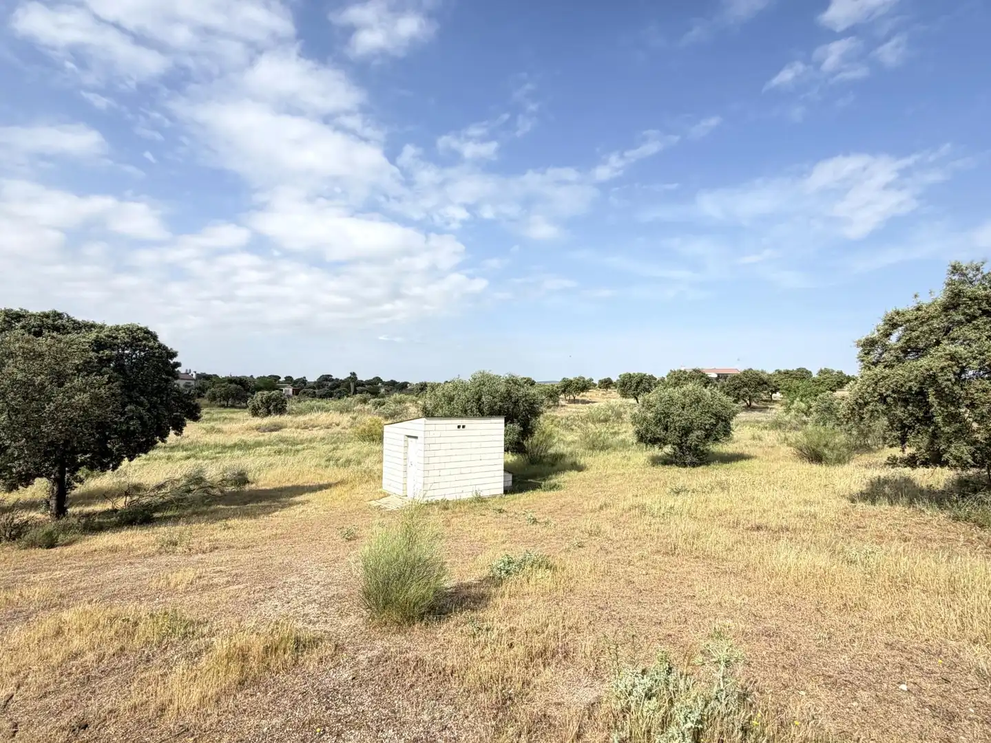 Terrain rustique à vendre à La Haba, imagen 32