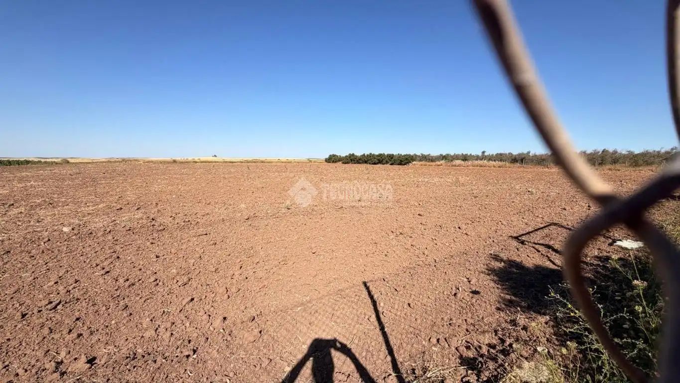 Terreno en venta en Paraje los los llanos, La Lantejuela