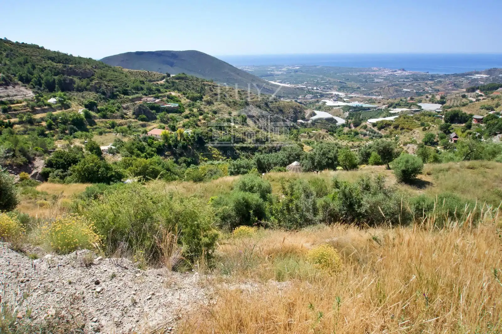 Terreny rústic en venda a Paraje Minchal Alto, imagen 5
