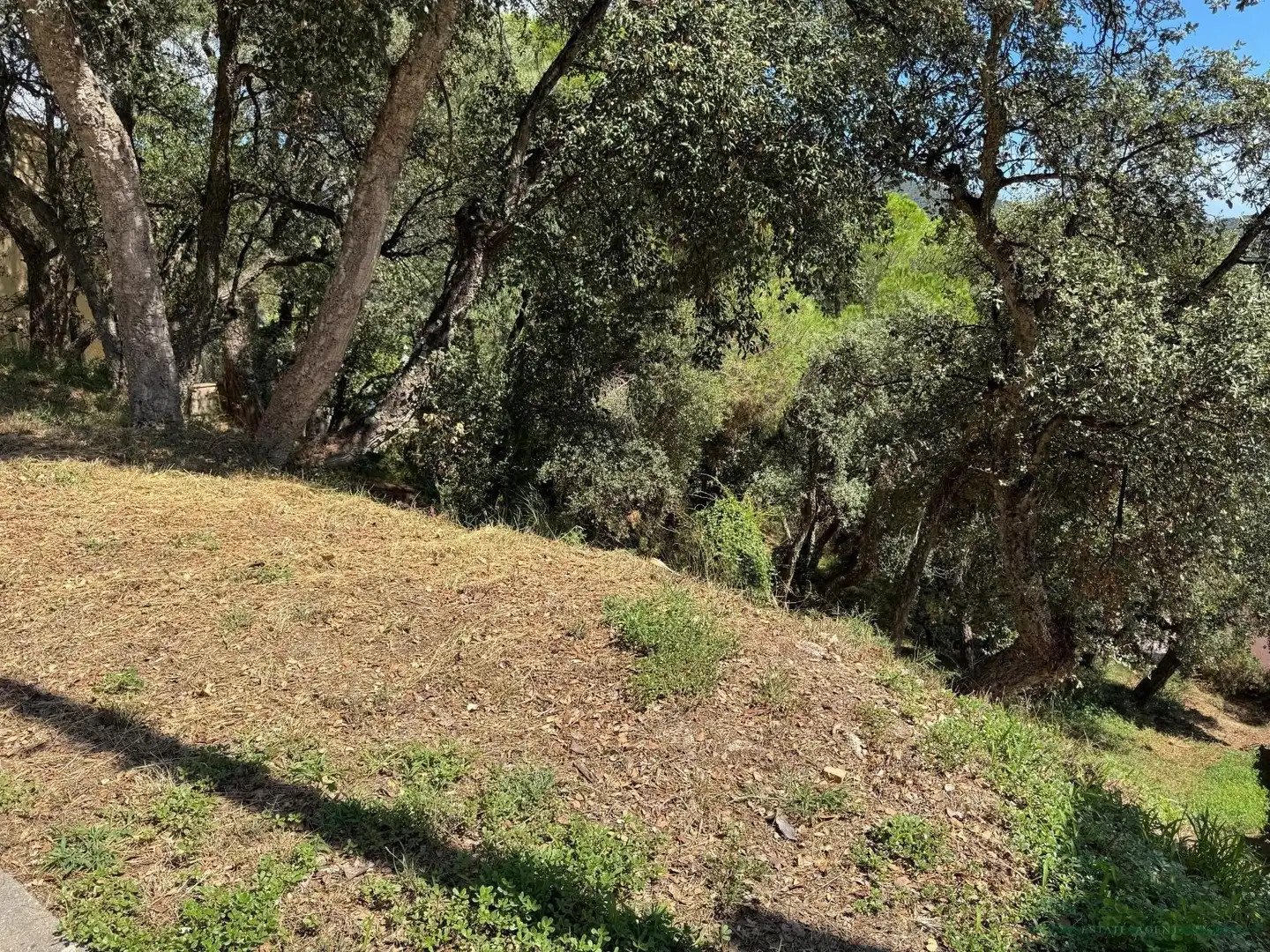Residential land for sale in Bergueda, imagen 4