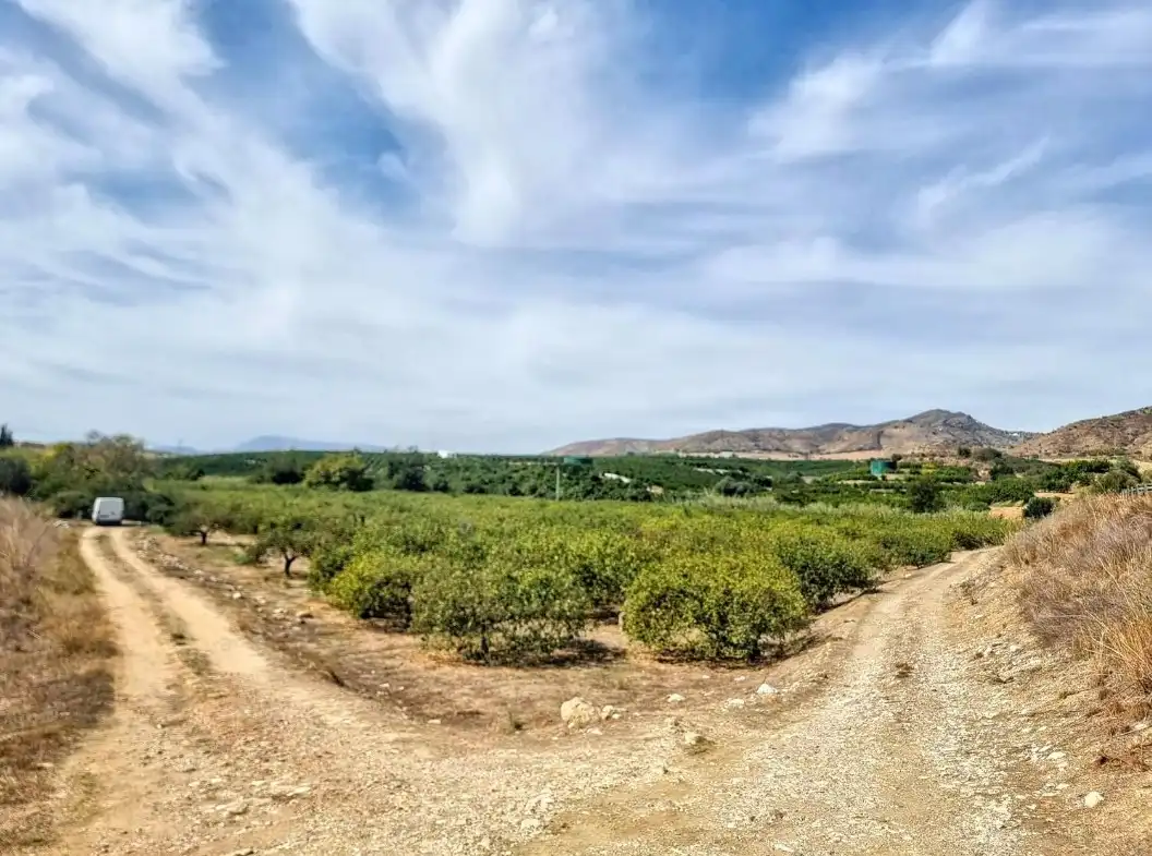 Terreno rustico in vendita a Alquería - Torrealquería, imagen 4
