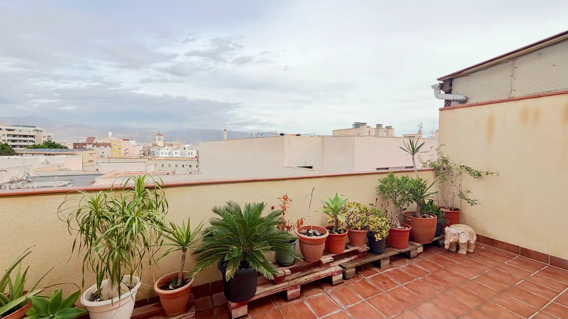 Terraza de Ático en venta en Roquetas de Mar ciudad