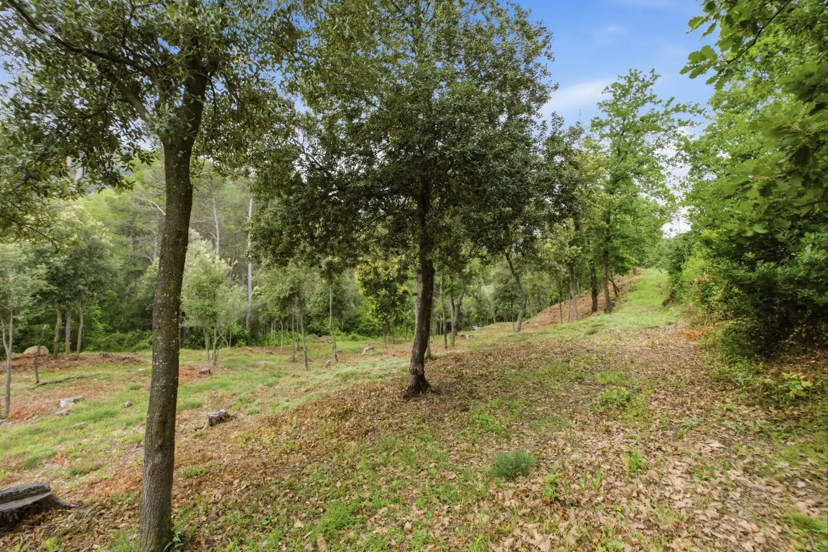 Residential land for sale in 120A,  Avinguda de Catalunya, imagen 19