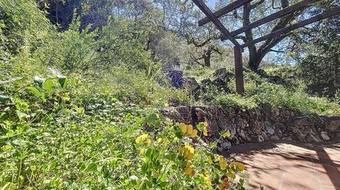 Photo 5 of Country homes for sale in Comares, Málaga