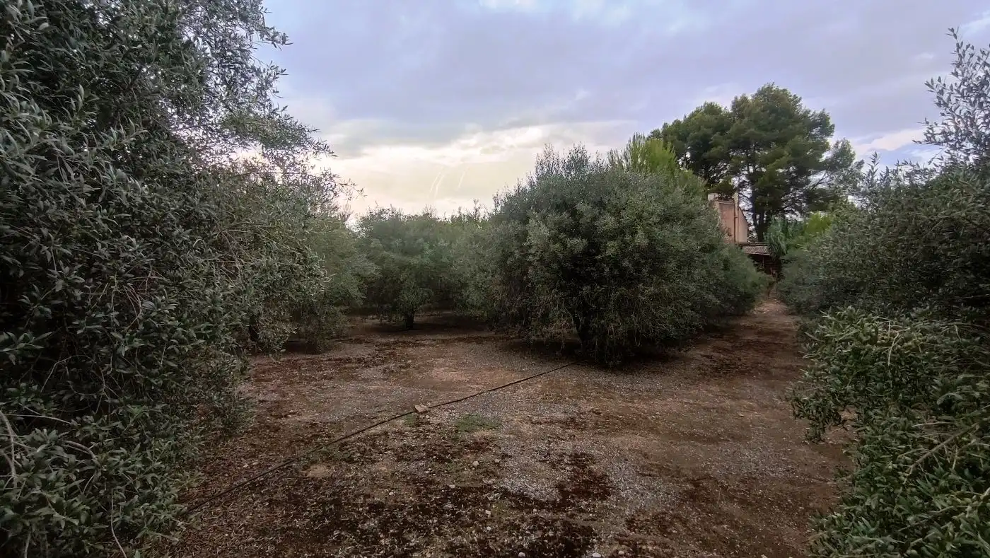 Finca rústica en venda en Valls amb Calefacció, Jardí privat i Terrassa