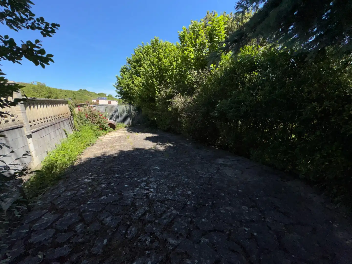 Vista exterior de Casa o chalet en venta en Ponferrada con Jardín privado y Piscina