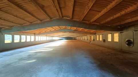 Foto 3 de Finca rústica en venta en Vilobí del Penedès, Barcelona