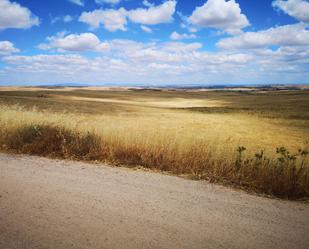 Exterior view of Land for sale in Cáceres Capital