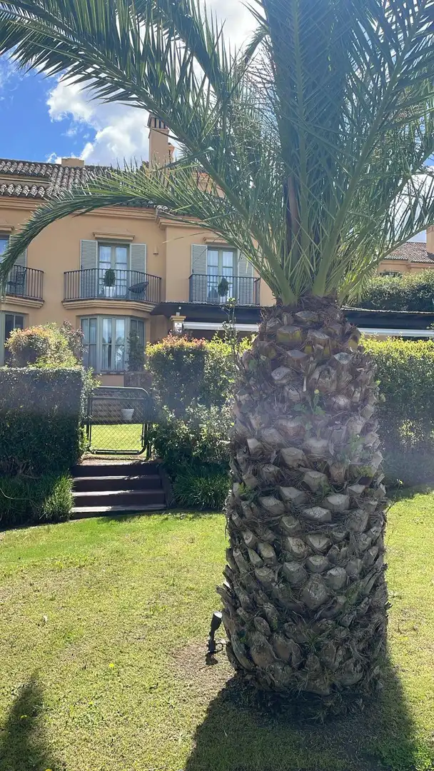 Casa amb piscina en venda a Puerto de Sotogrande - La Marina, imagen 17