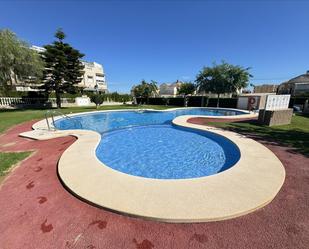 Swimming pool of Country house for sale in Torrevieja  with Private garden and Swimming Pool