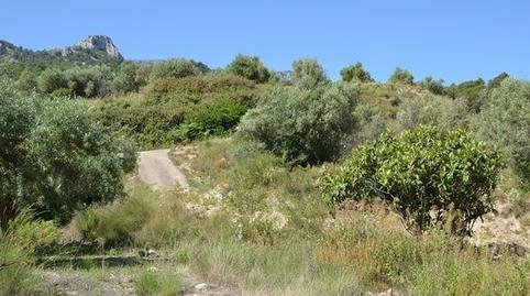 Foto 5 de Residencial en venta en Confrides, Alicante