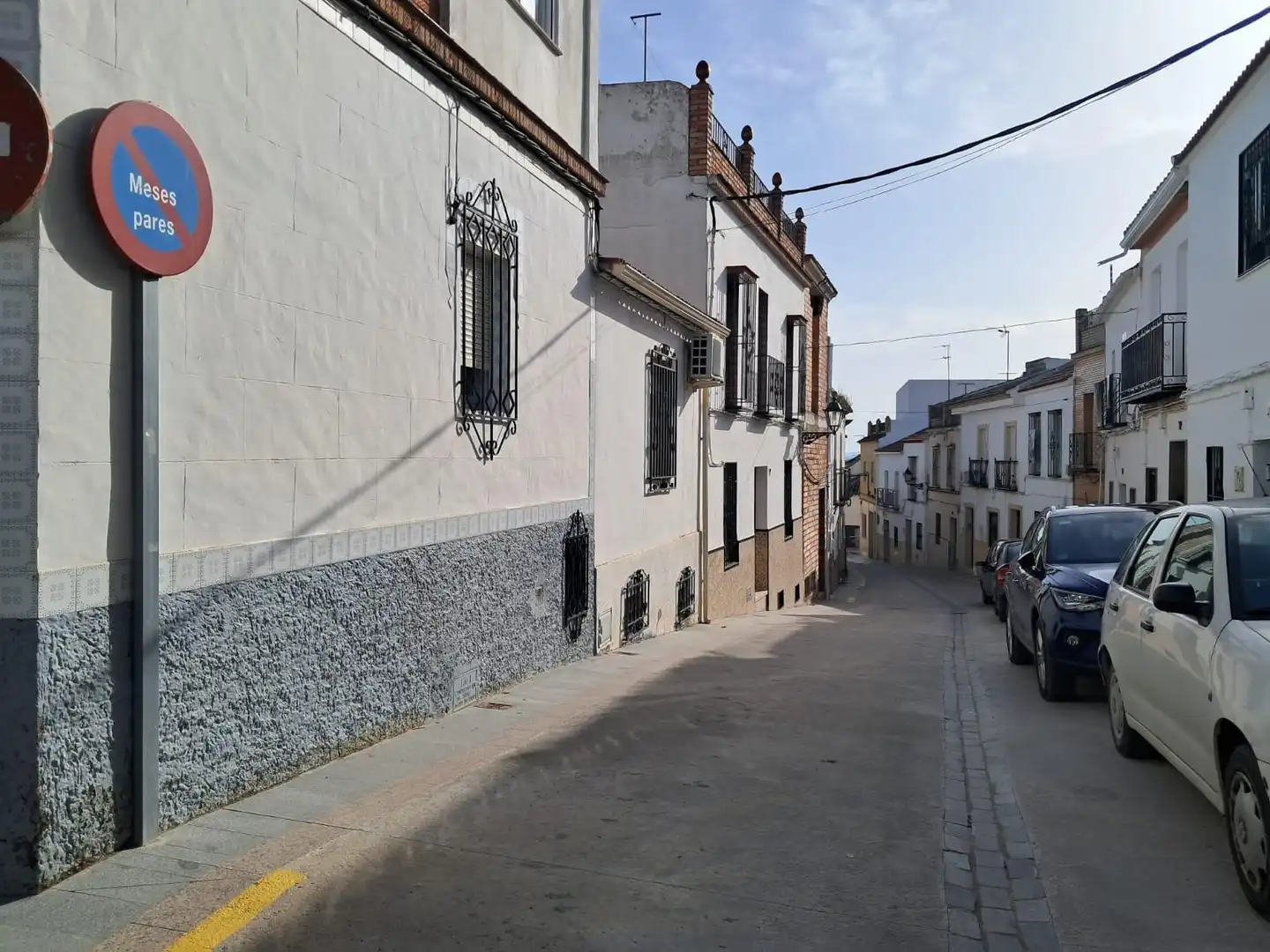 Detached homes for sale in Montemayor