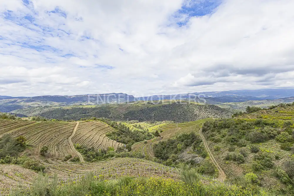 Residential land for sale in La Pobla de Claramunt, imagen 11