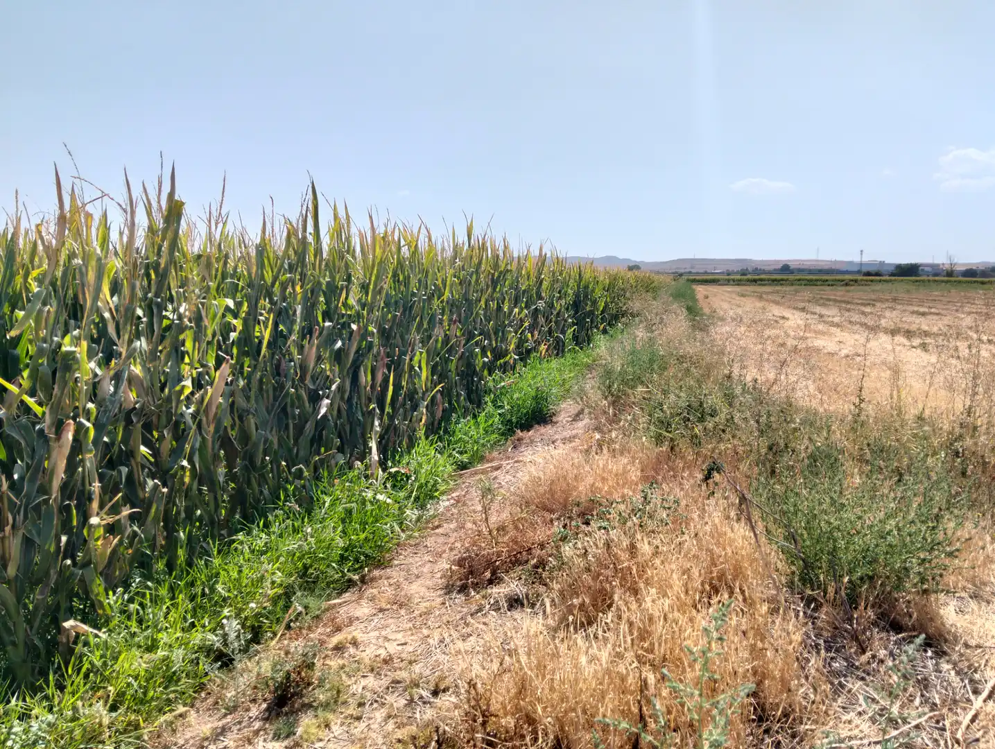 Casa o chalet en venta en Fuentes de Ebro con Jardín privado y Parquet