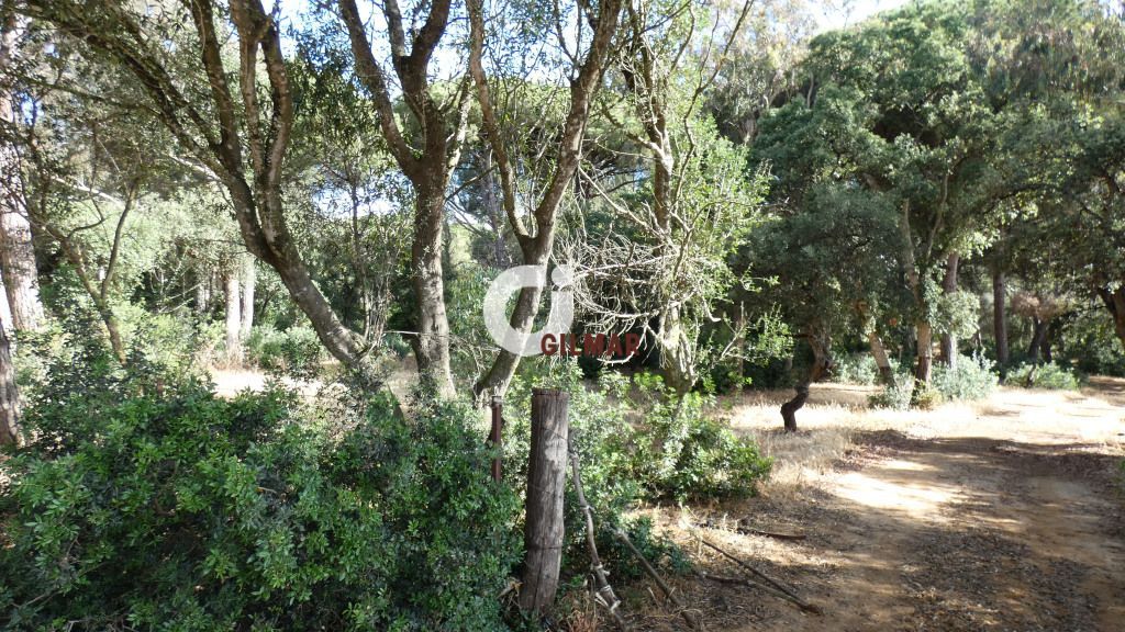 Land for sale in Vejer de la Frontera
