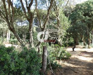 Land for sale in Vejer de la Frontera