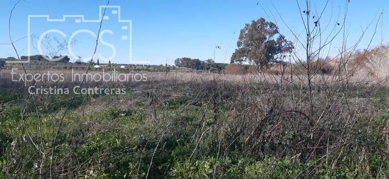 Terreni e lotti in vendita a Almonte ciudad, imagen 12
