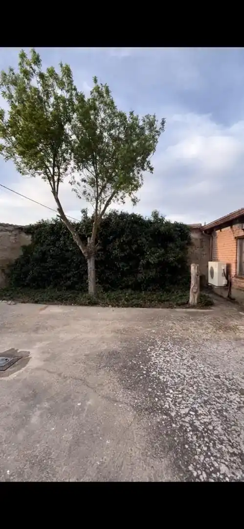 Parking de Terreno en venta en Esguevillas de Esgueva