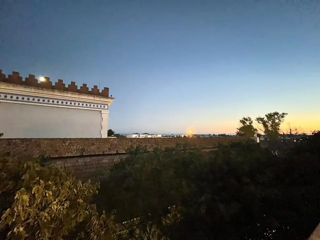 Vista exterior de Estudi de lloguer en Marbella amb Aire condicionat, Calefacció i Moblat