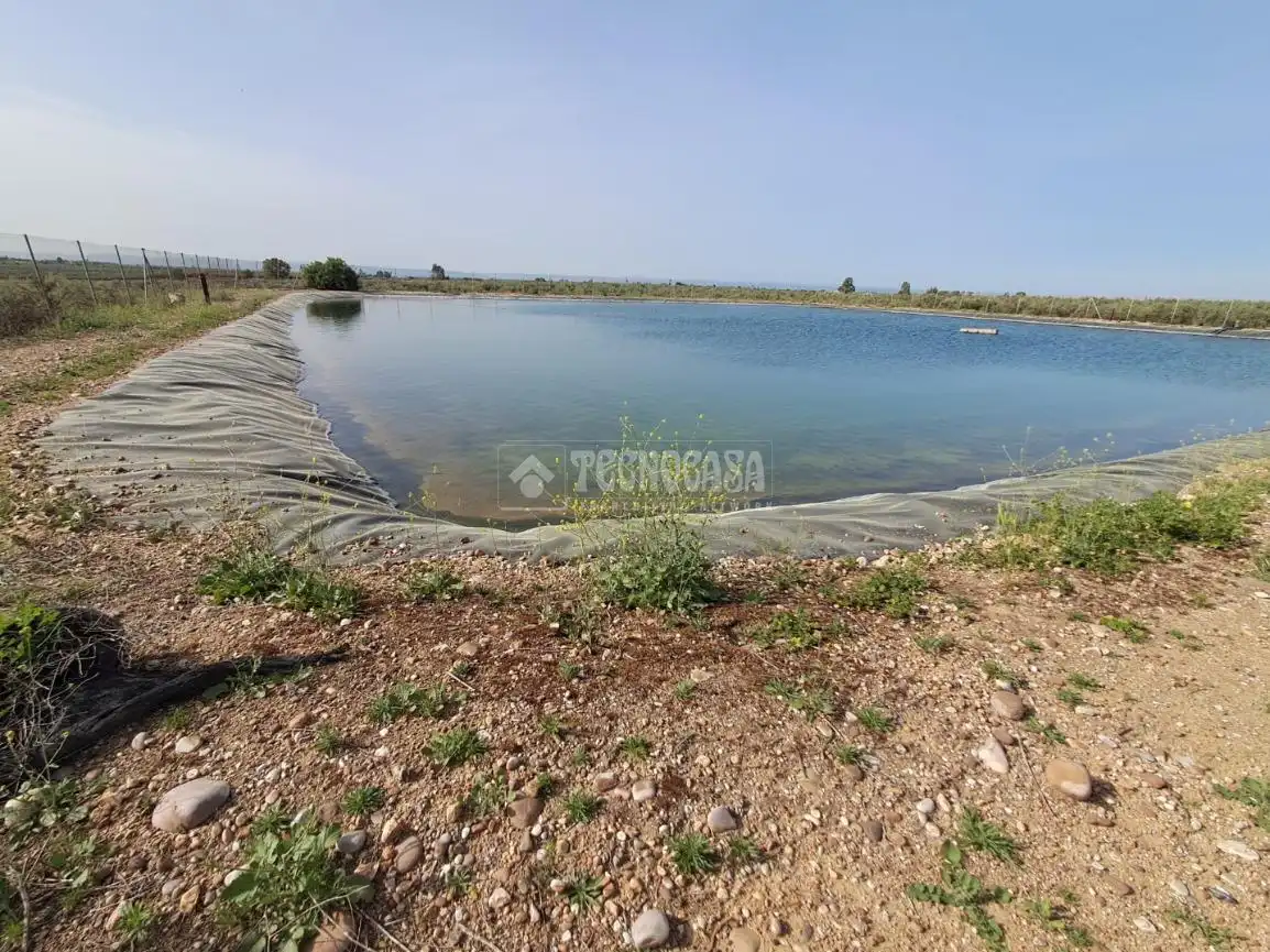 Terreno rustico in vendita a Carmona, imagen 2