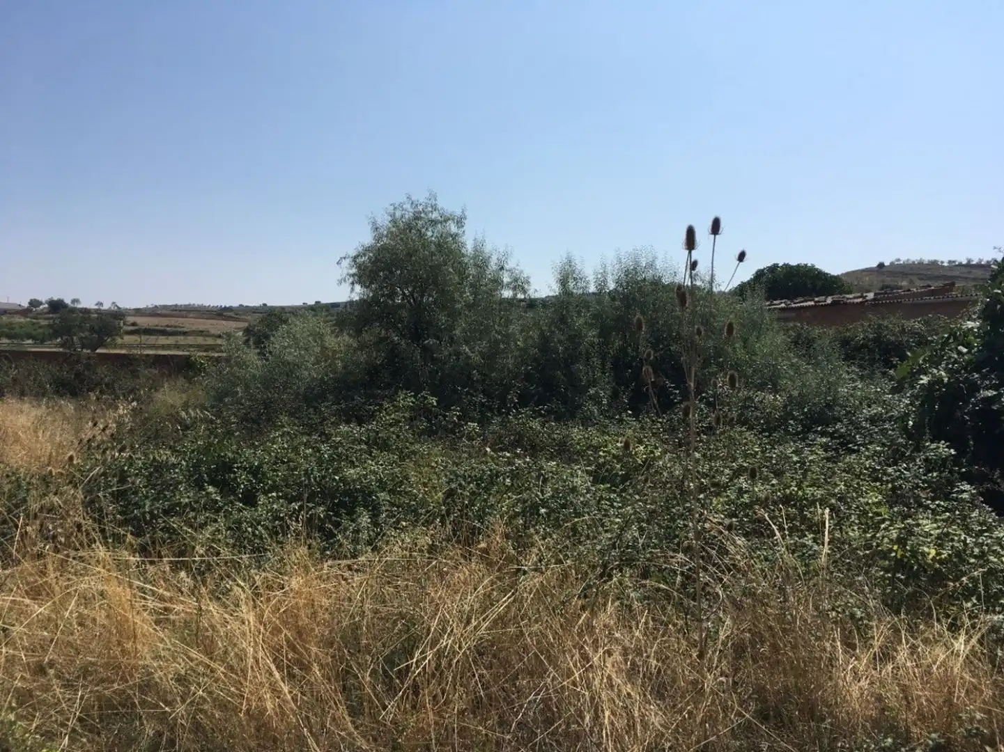 Casa o chalet en venta en El Redal
