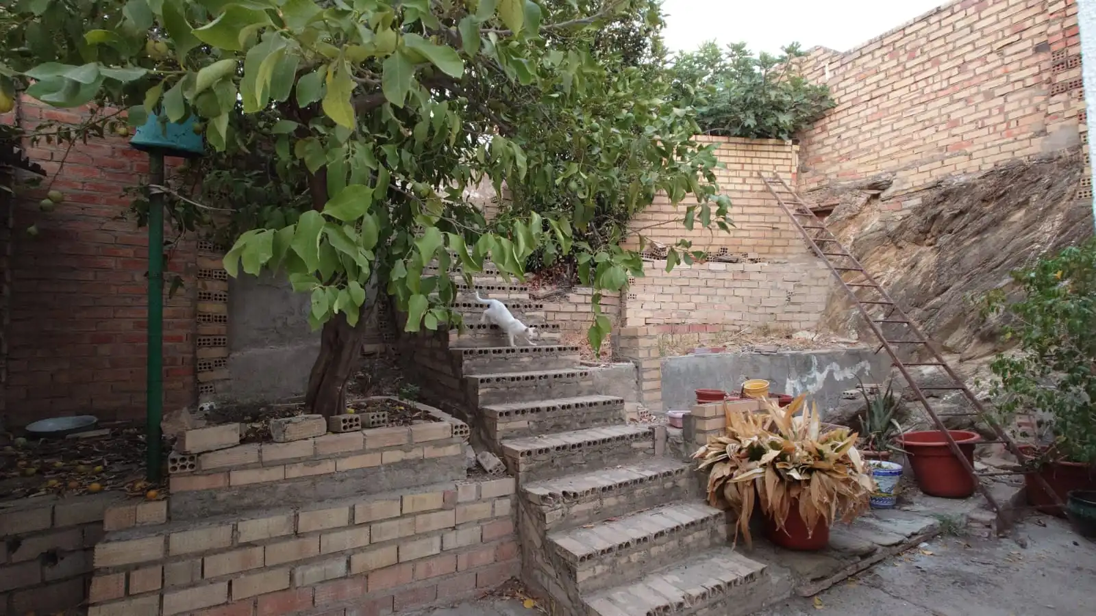 Jardín de Casa o chalet en venta en Aznalcóllar con Jardín privado y Alarma