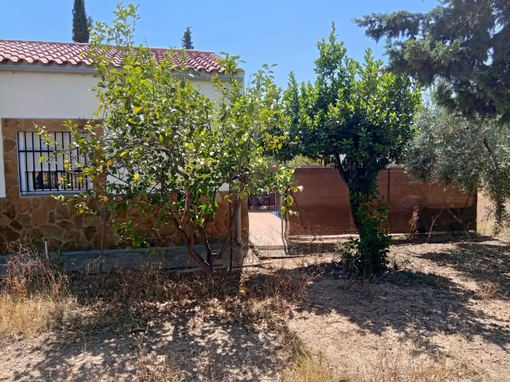 Garten von Country house zum Verkauf in Calles mit Privatgarten, Terrasse und Abstellraum