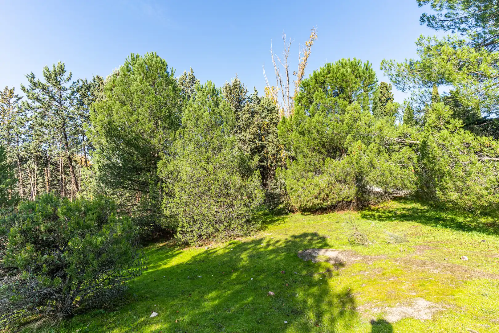 Residencial en venda en Las Rozas de Madrid