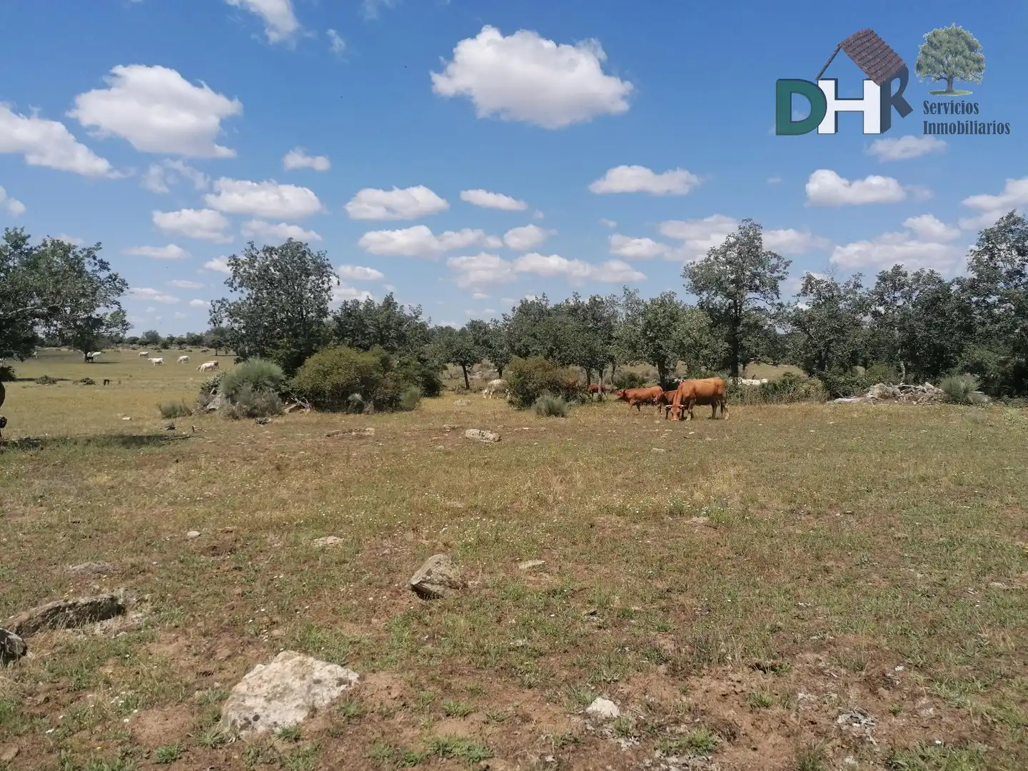 Lands and plots for sale in Barrio Blanco, imagen 14