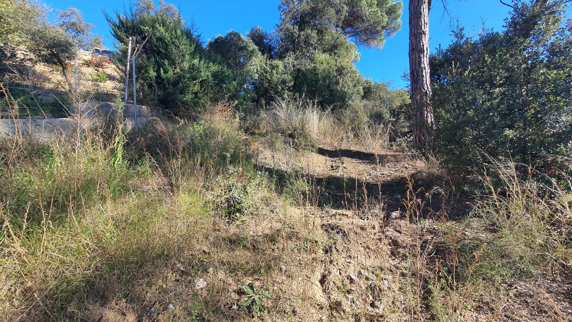 Wohnbaugrundstück zum Verkauf in Carrer de la Noguera 13, imagen 5