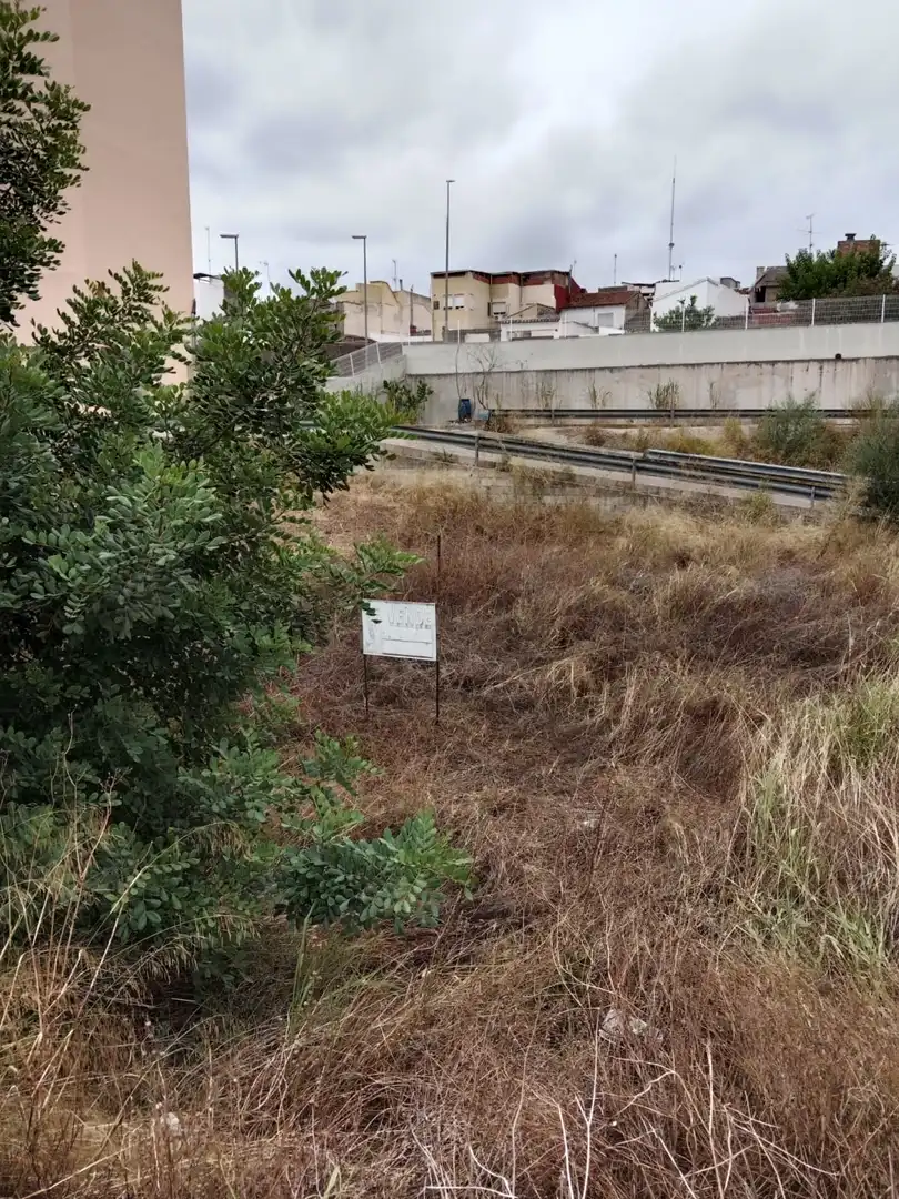 Terreny rústic en venda a Avda. de la Pau, imagen 2